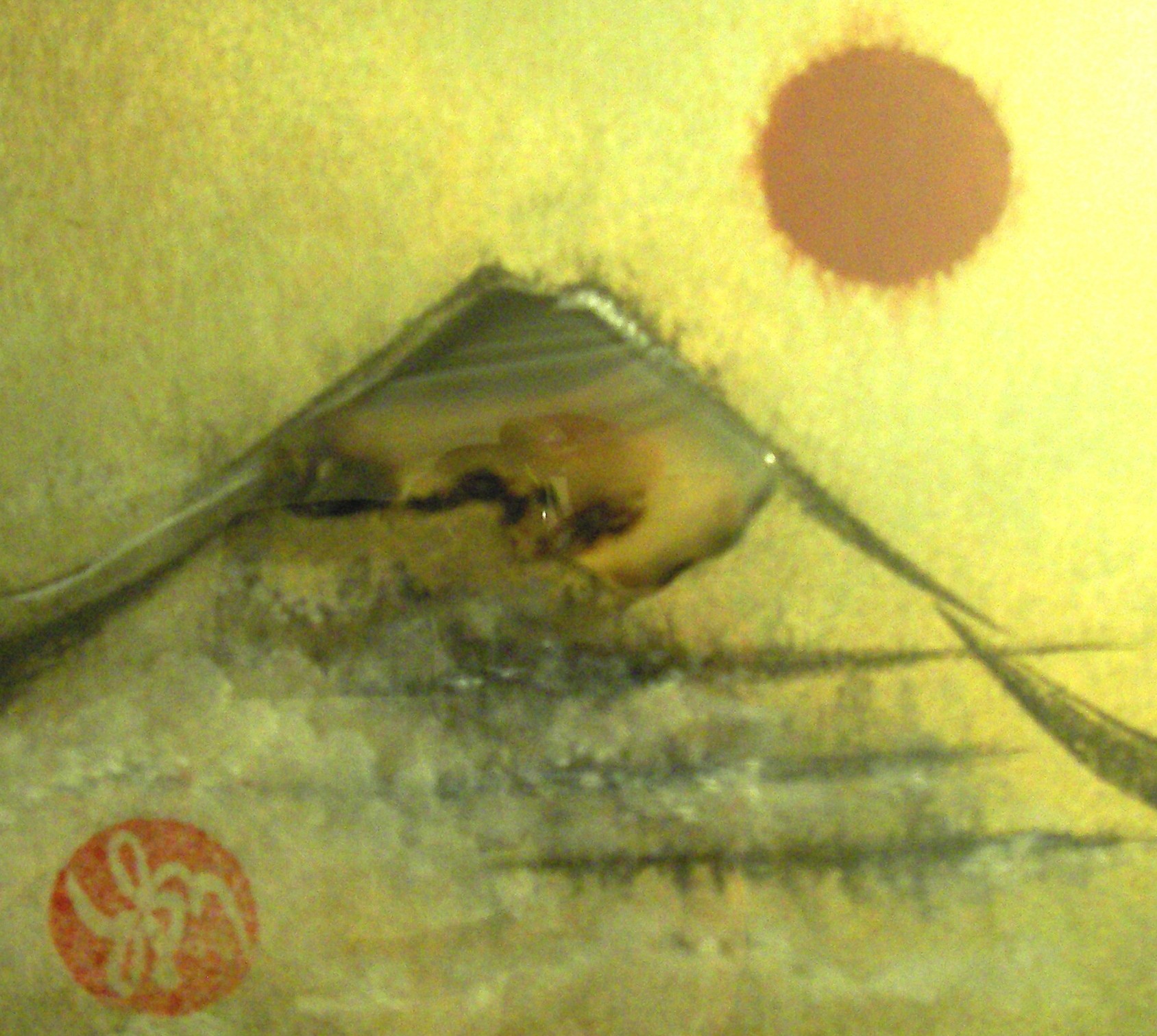 SANYO DIGITAL CAMERA